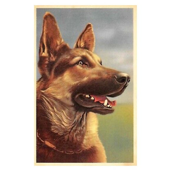 Alfred Mainzer German Shepherd Dog Squeaking Postcard - Picture 4 of 9